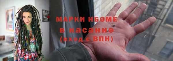 хмурый Аркадак