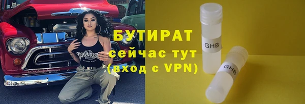 хмурый Аркадак