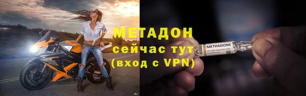 хмурый Аркадак