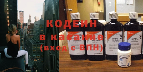 хмурый Аркадак