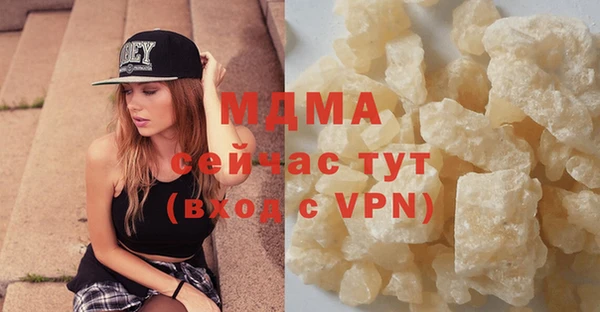 хмурый Аркадак
