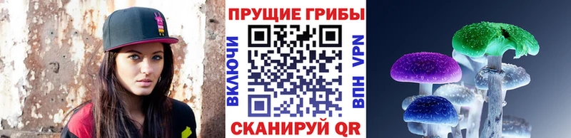 Псилоцибиновые грибы мухоморы  Зеленоградск 